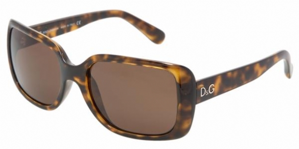 D&G 8067 50273